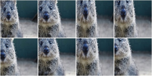 KeepSizeByResize with nearest neighbour interpolation + Crop