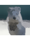 ../_images/meanshiftblur.gif