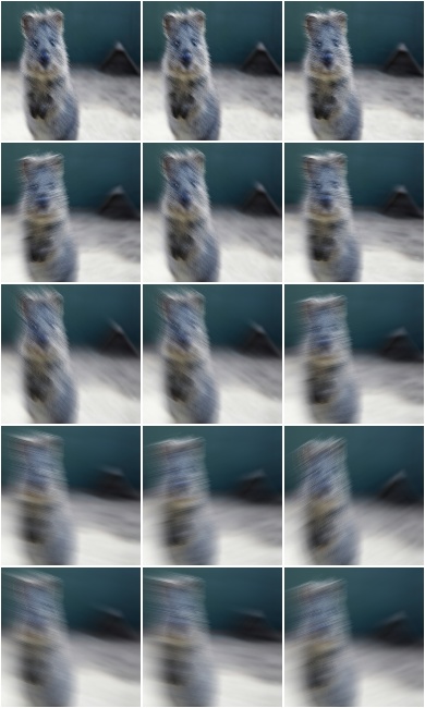 MotionBlur
