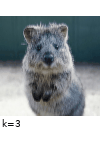 ../_images/motionblur_angle_0.gif