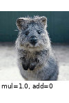 ../_images/multiplyandaddtobrightness.gif