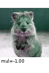 ../_images/multiplyhue.gif