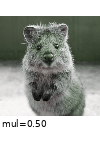 ../_images/multiplyhueandsaturation.gif