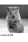 ../_images/multiplysaturation.gif