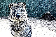 ../_images/non_geometric_image.jpg