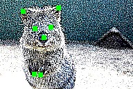 ../_images/non_geometric_kps.jpg