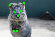 ../_images/noop_kps.jpg