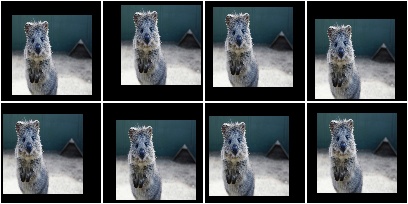 Pad to 100x100 with random division of pad amounts onto the different image sides