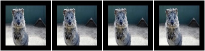 Pad to 100x100 with random division of pad amounts onto the different image sides