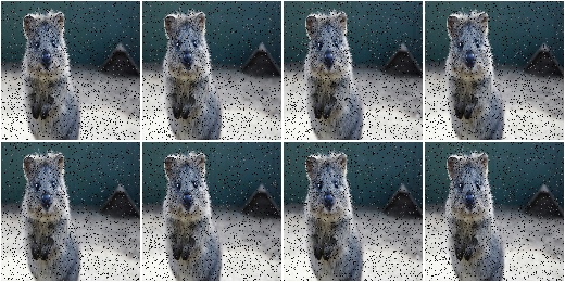 Pepper