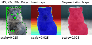 ../_images/perspectivetransform.gif