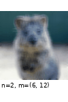 ../_images/randaugment.gif
