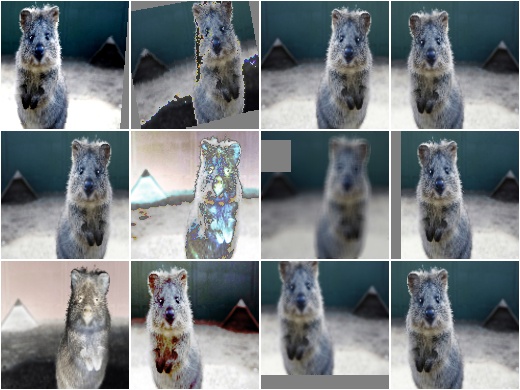 RandAugment random iterations