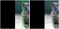 RemoveCBAsByOutOfImageFraction comparison with/without