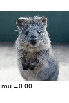 ../_images/removesaturation.gif