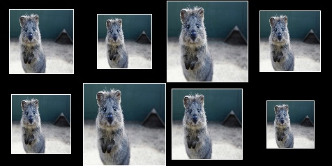 Resize to 50 to 100 percent