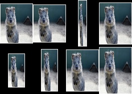 Resize with uniform distribution and choice