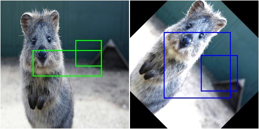 Bounding box augmentation with rotation