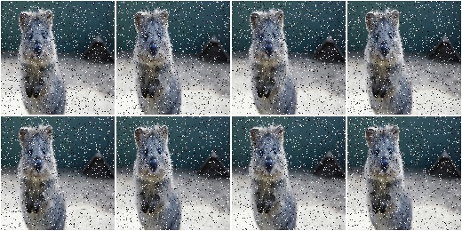 SaltAndPepper