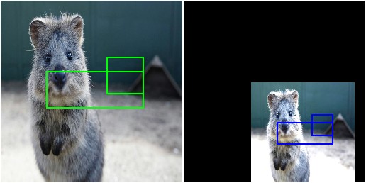 Simple bounding box augmentation example