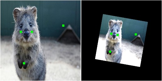 Simple keypoint augmentation example