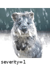 ../_images/snow.gif