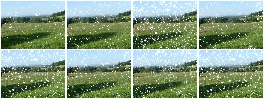 Snowflakes