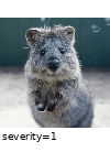 ../_images/spatter.gif