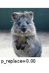 ../_images/superpixels_n_segments_100.gif