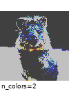 ../_images/uniformcolorquantization_to_colorspace_rgb.gif