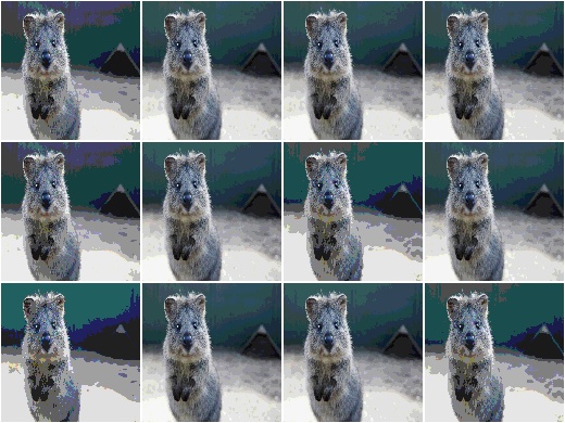 UniformColorQuantization with random n_colors