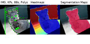 ../_images/withpolarwarping_affine.gif