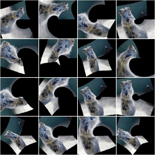 WithPolarWarping and Affine