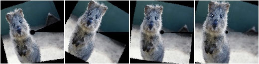 WithPolarWarping and CropAndPad